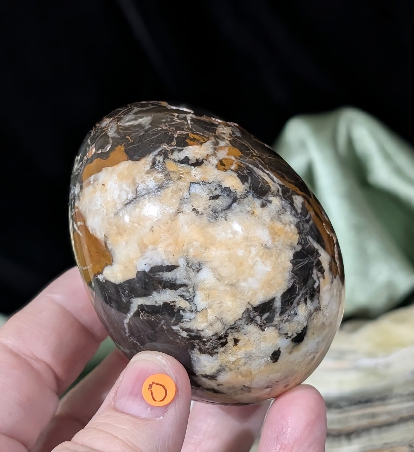 Hunter Jasper Egg
