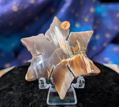 Indonesian Petrified Wood Snowflake