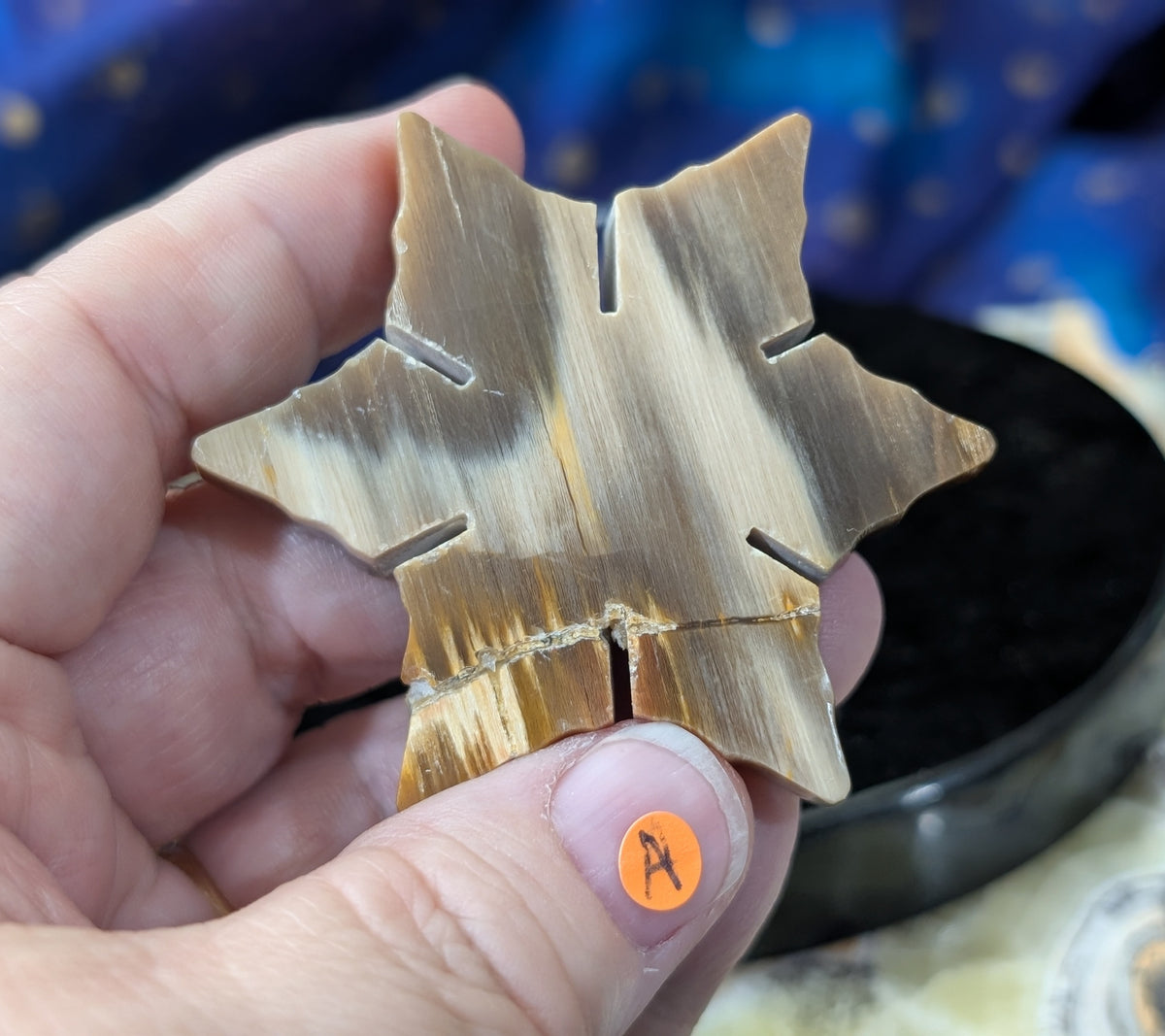 Indonesian Petrified Wood Snowflake