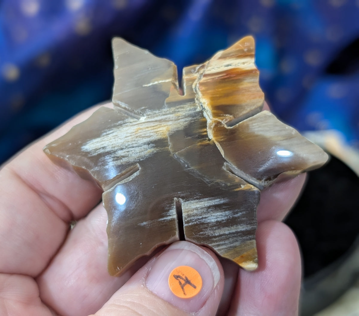 Indonesian Petrified Wood Snowflake