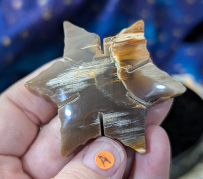 Indonesian Petrified Wood Snowflake