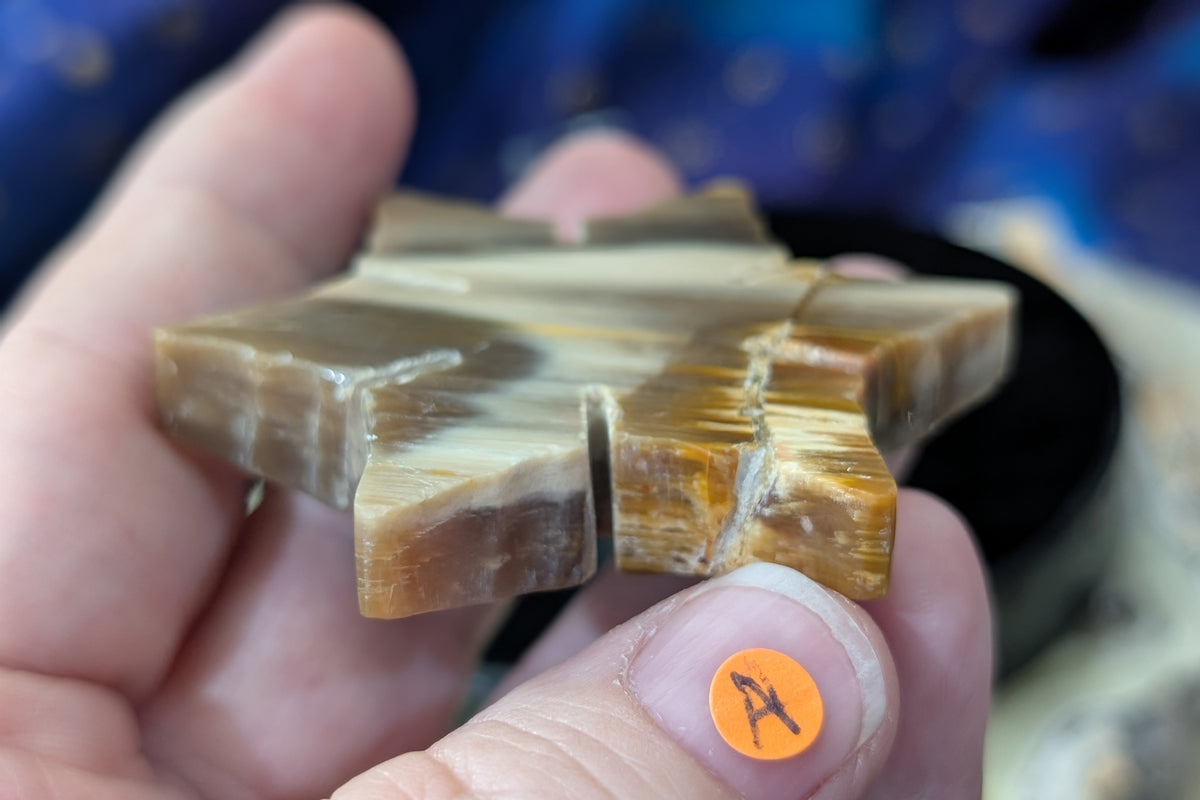 Indonesian Petrified Wood Snowflake