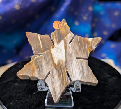 Indonesian Petrified Wood Snowflake