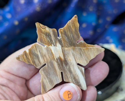 Indonesian Petrified Wood Snowflake