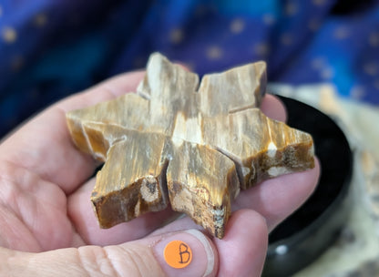 Indonesian Petrified Wood Snowflake