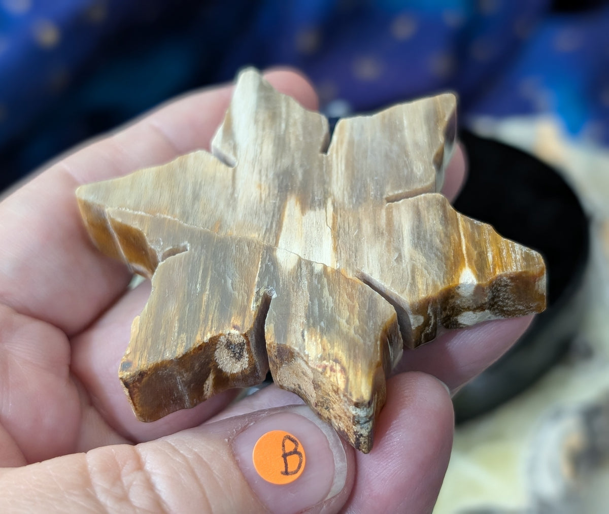 Indonesian Petrified Wood Snowflake