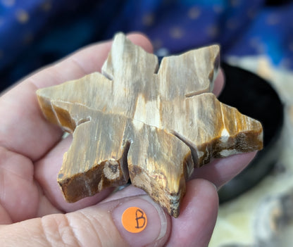 Indonesian Petrified Wood Snowflake