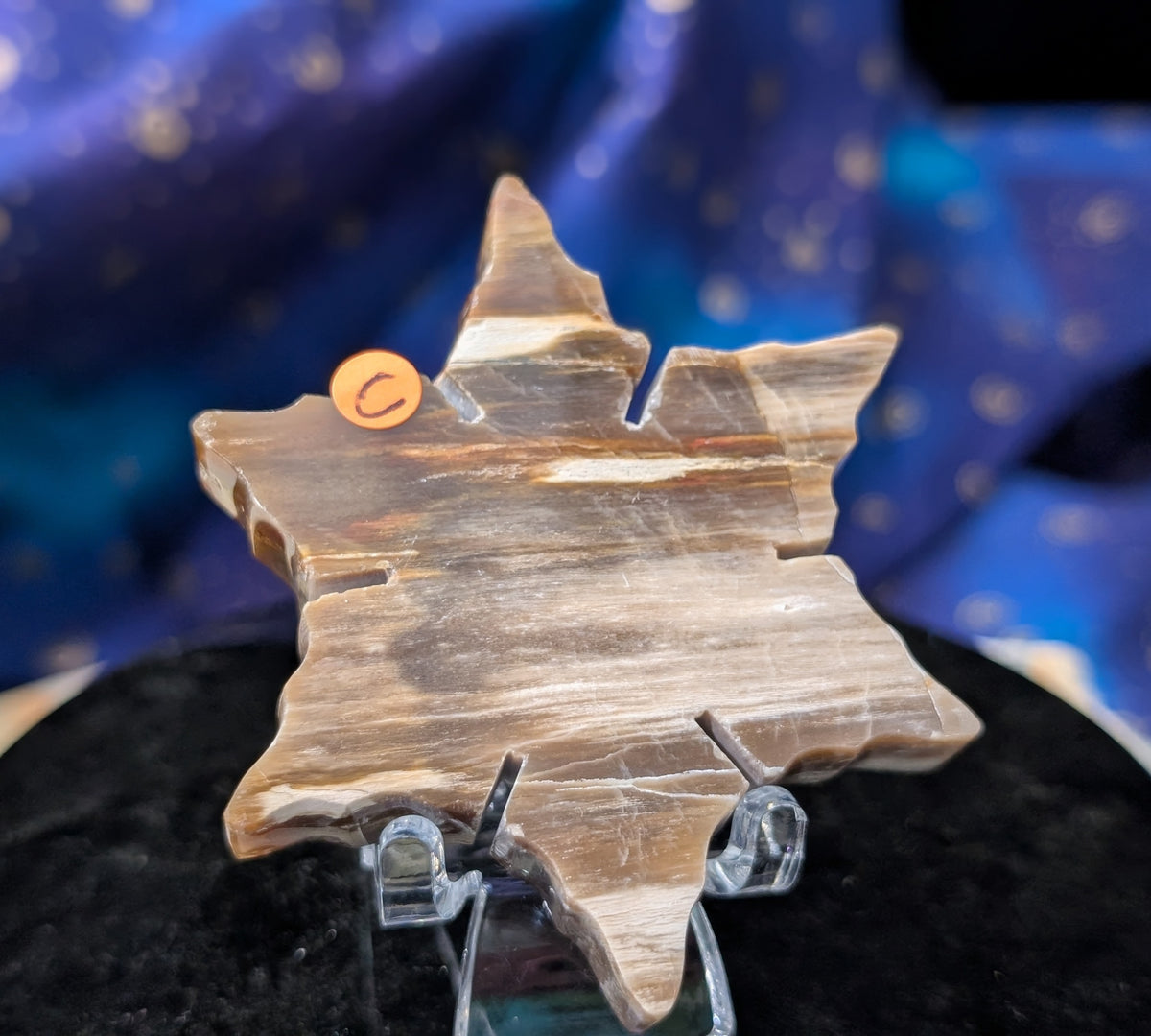 Indonesian Petrified Wood Snowflake