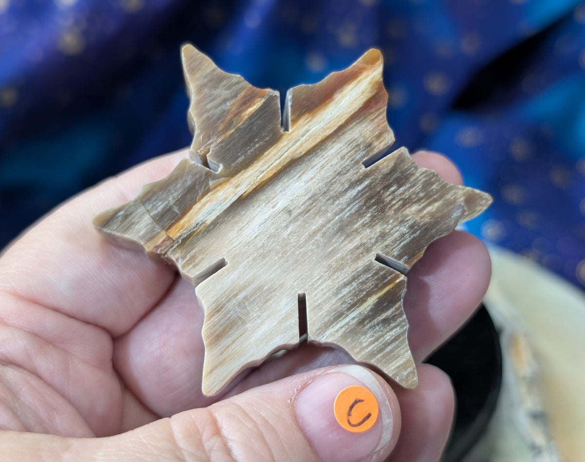 Indonesian Petrified Wood Snowflake