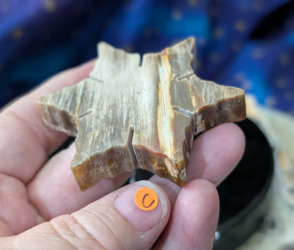 Indonesian Petrified Wood Snowflake