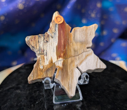 Indonesian Petrified Wood Snowflake