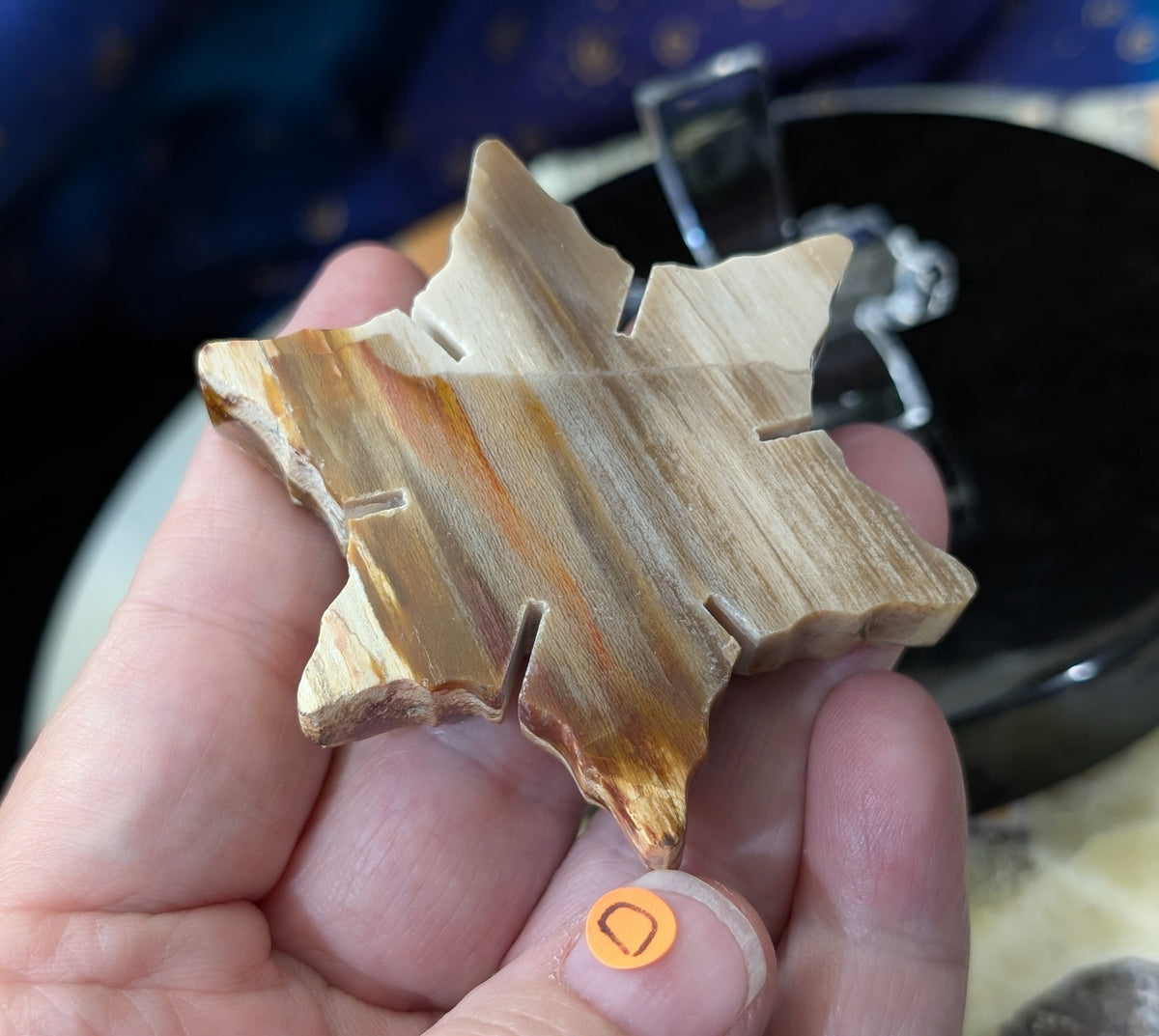 Indonesian Petrified Wood Snowflake