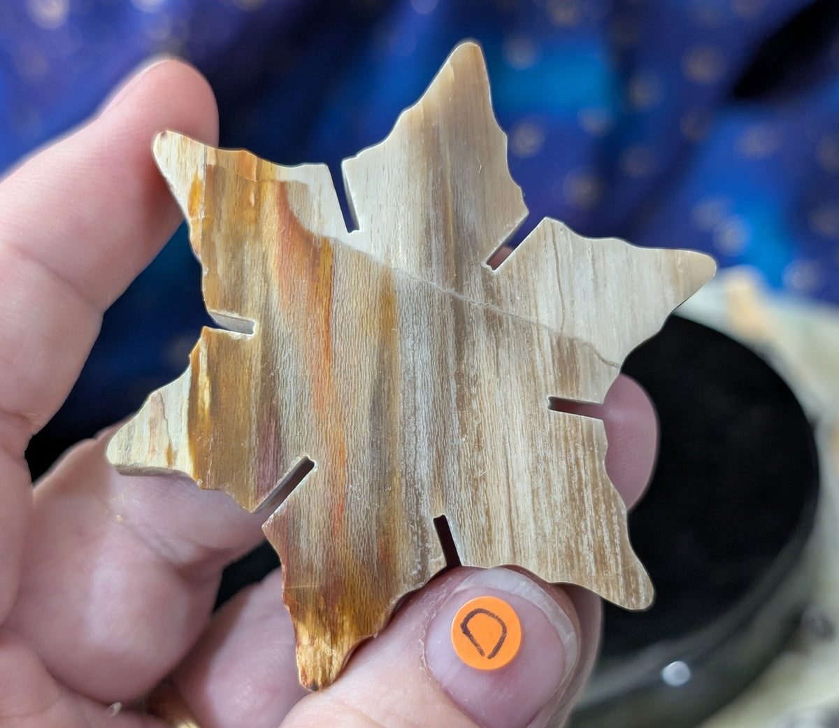 Indonesian Petrified Wood Snowflake