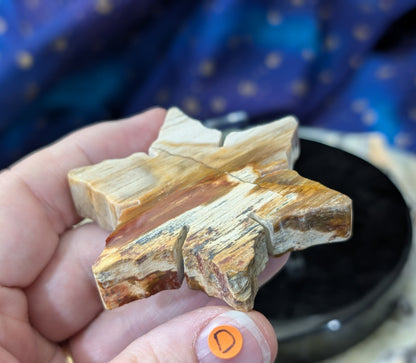 Indonesian Petrified Wood Snowflake