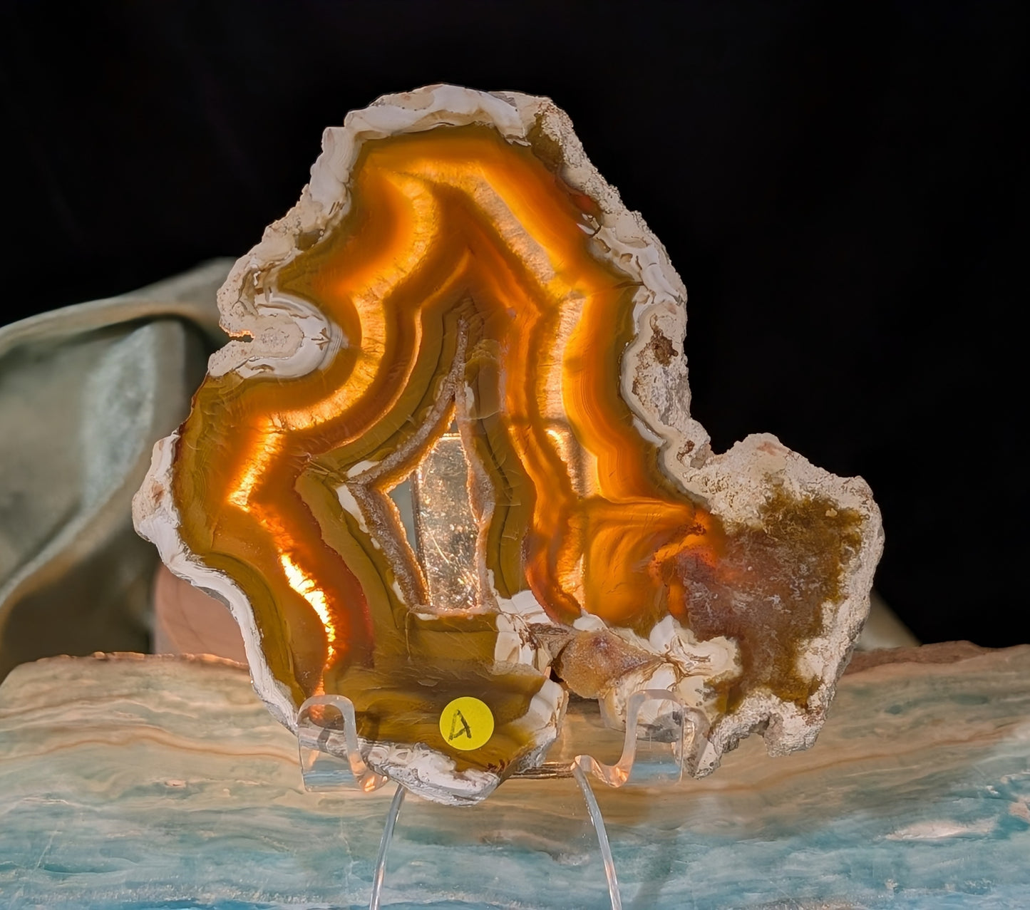 Indonesian Raw Edge Honey Agate Slab