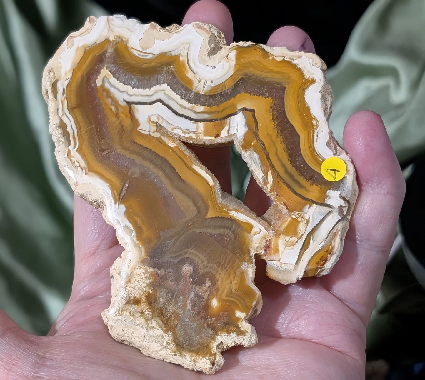 Indonesian Raw Edge Honey Agate Slab