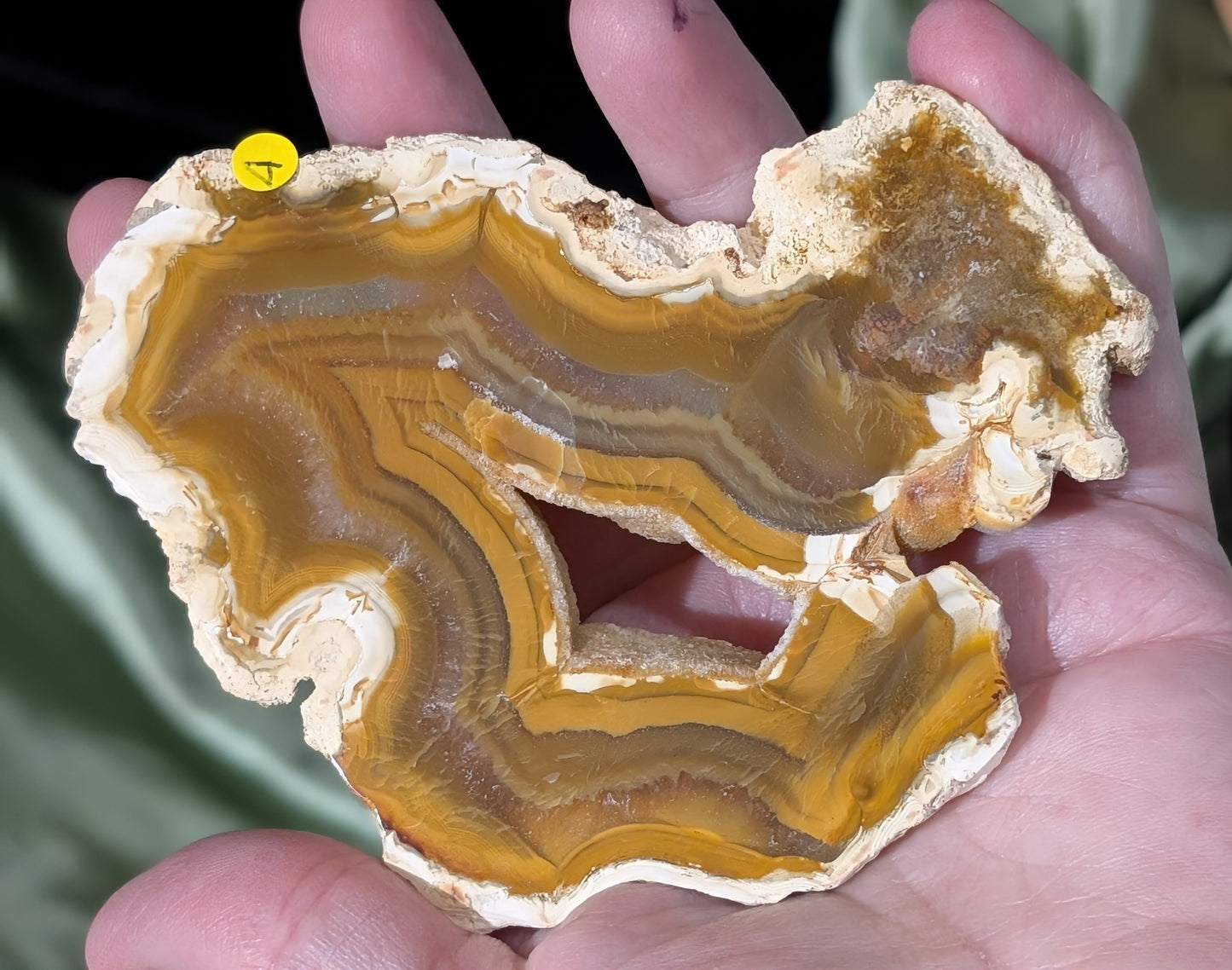Indonesian Raw Edge Honey Agate Slab
