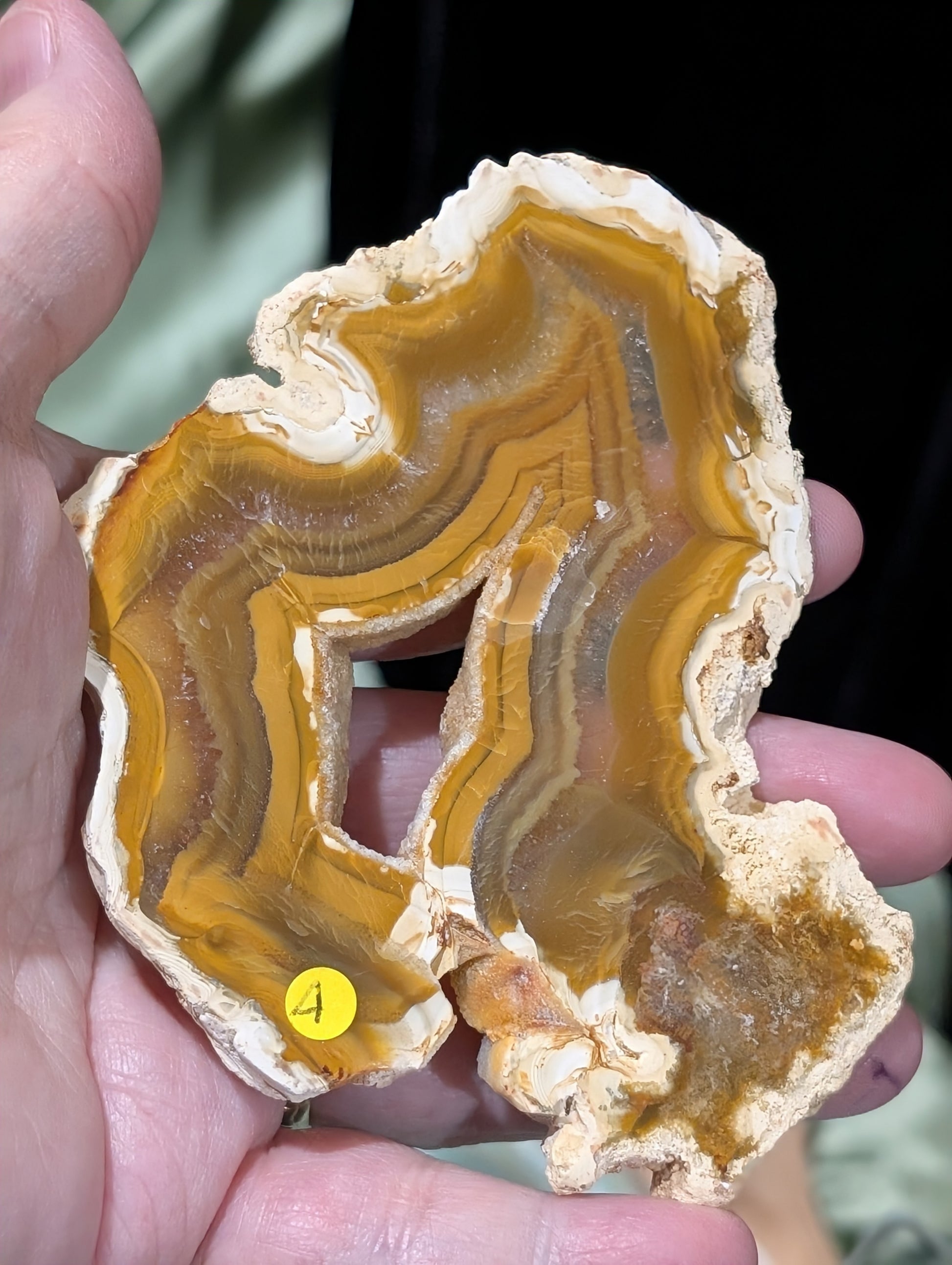 Indonesian Raw Edge Honey Agate Slab