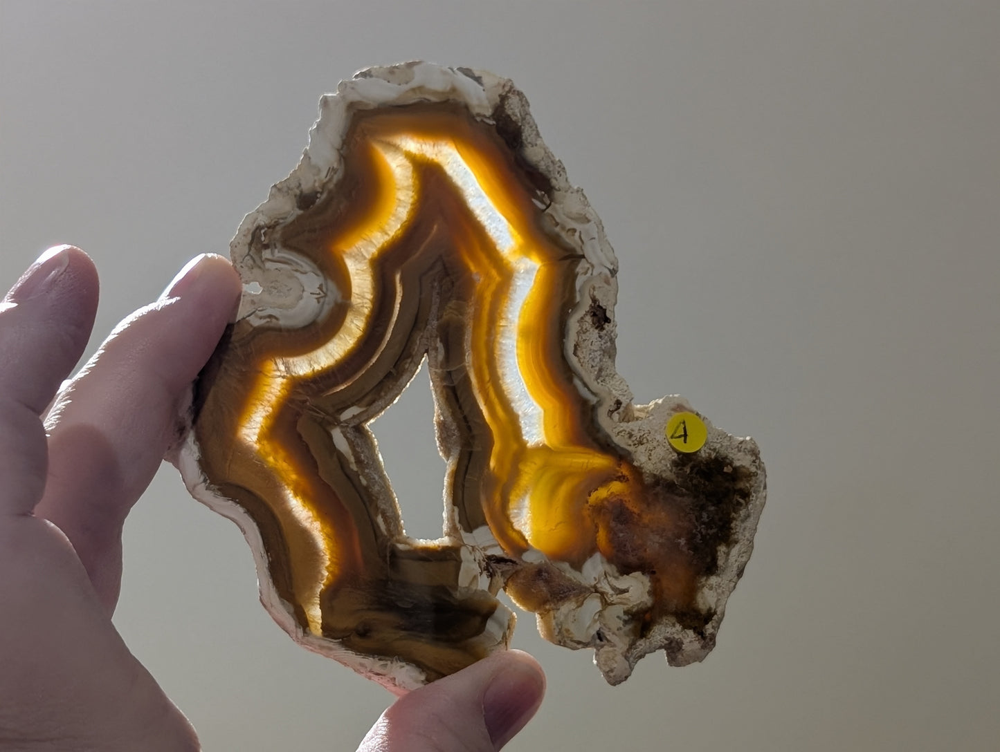 Indonesian Raw Edge Honey Agate Slab