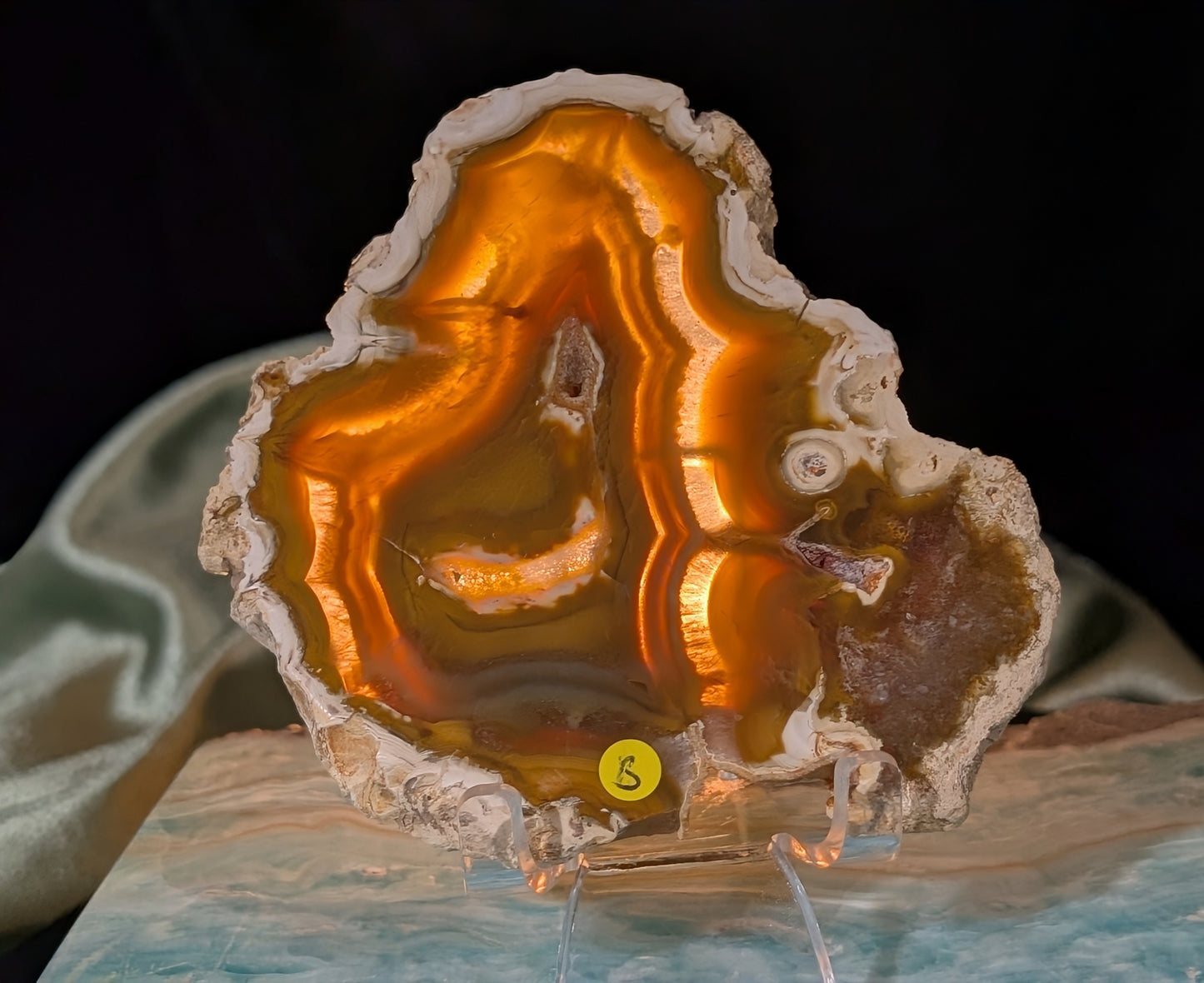 Indonesian Raw Edge Honey Agate Slab