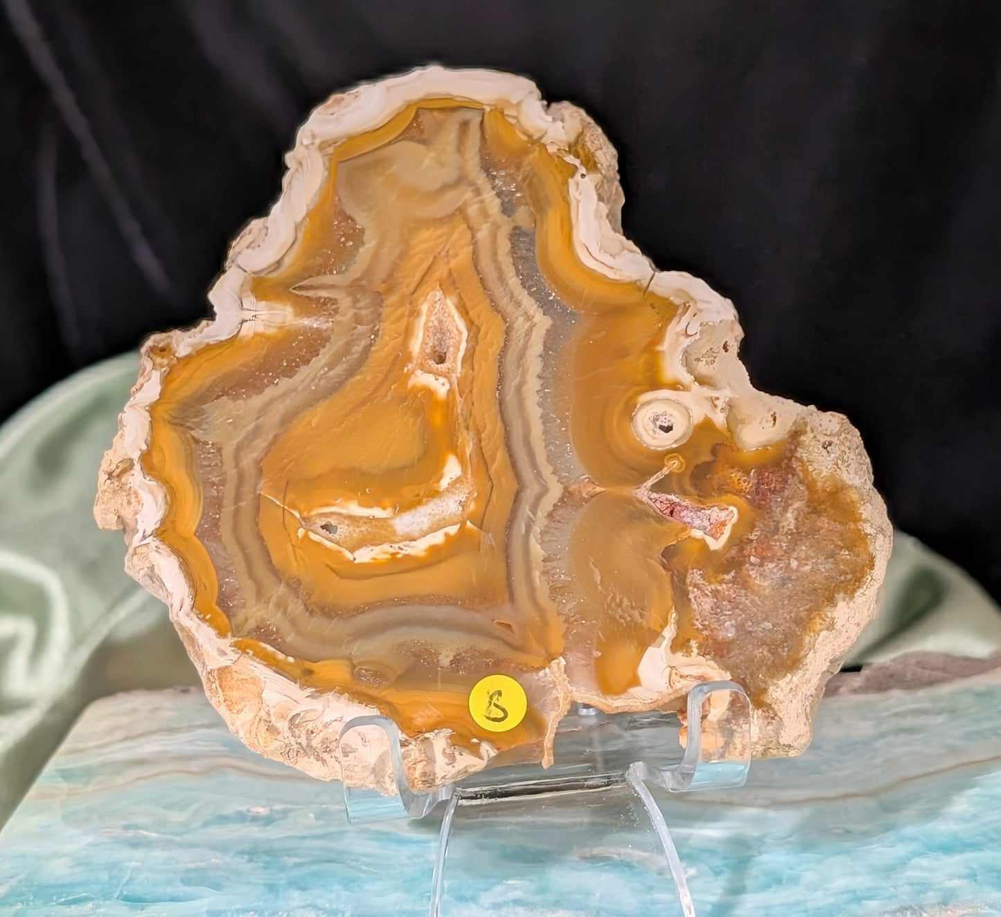 Indonesian Raw Edge Honey Agate Slab