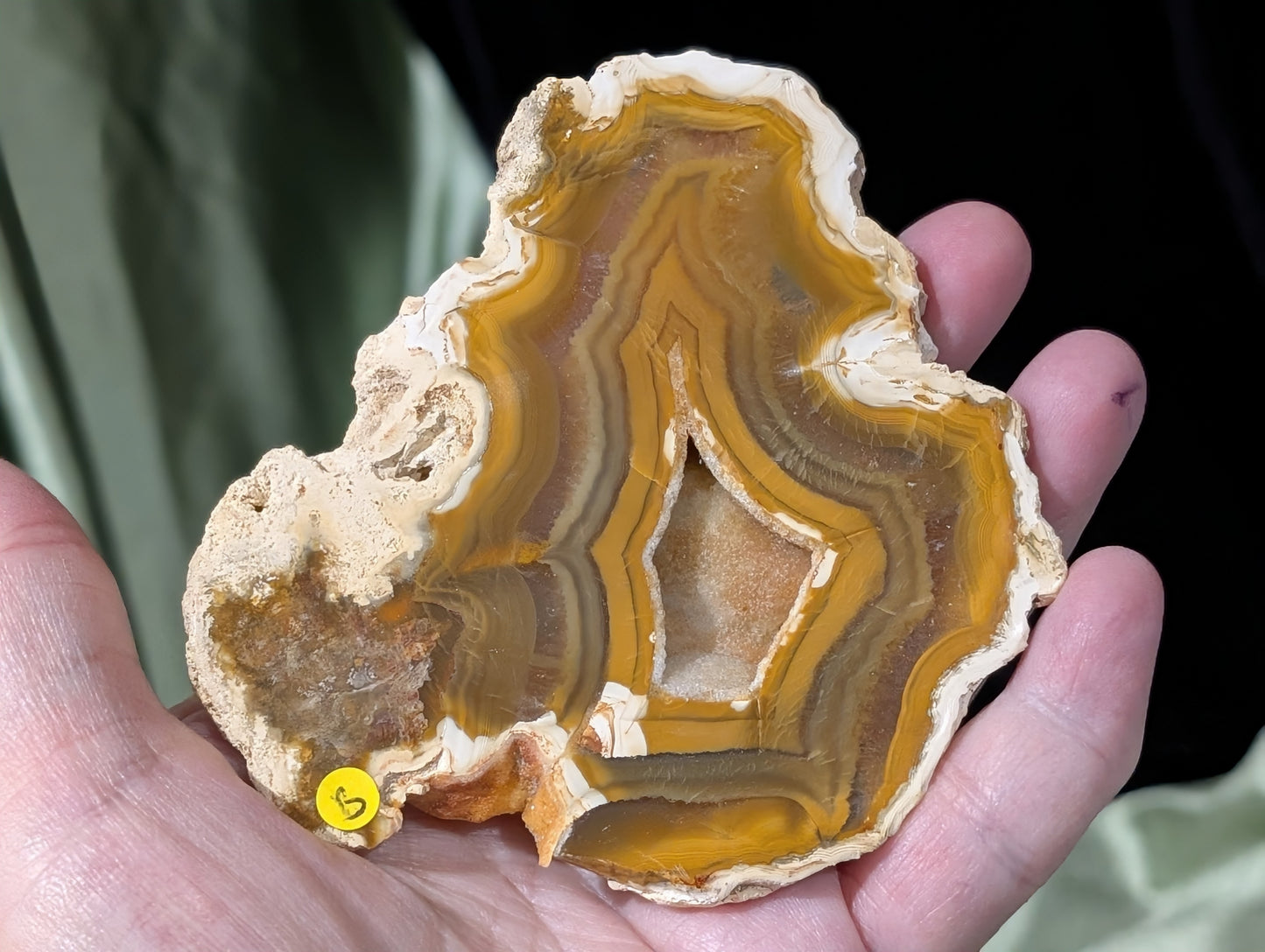 Indonesian Raw Edge Honey Agate Slab