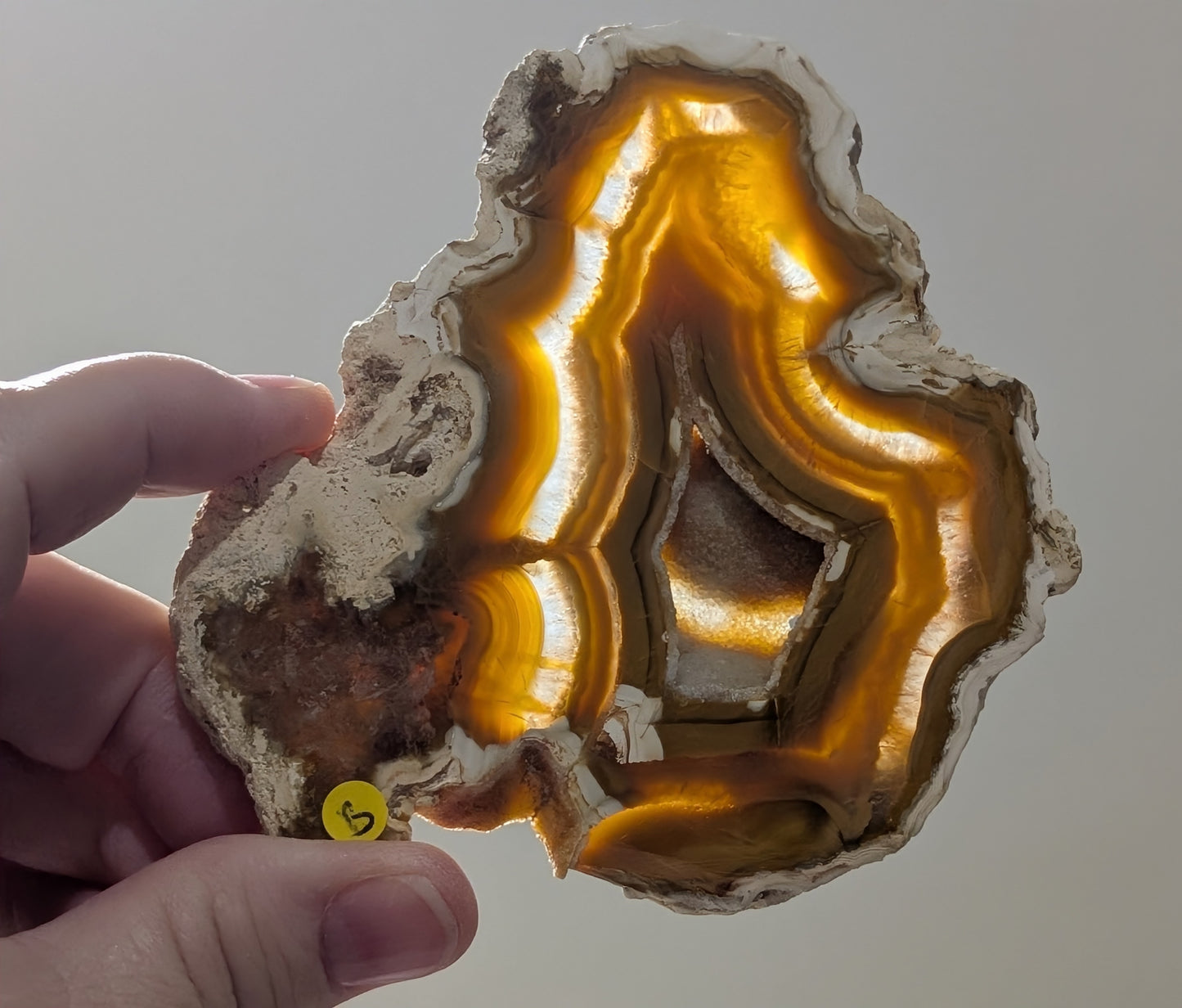 Indonesian Raw Edge Honey Agate Slab