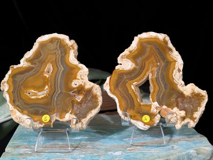 Indonesian Raw Edge Honey Agate Slabs
