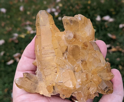 Natural Iron Coated Quartz Specimen ~ Golden Quartz Points