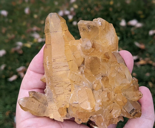 Natural Iron Coated Quartz Specimen ~ Golden Quartz Points
