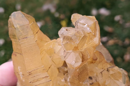Natural Iron Coated Quartz Specimen ~ Golden Quartz Points