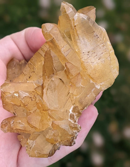 Natural Iron Coated Quartz Specimen ~ Golden Quartz Points