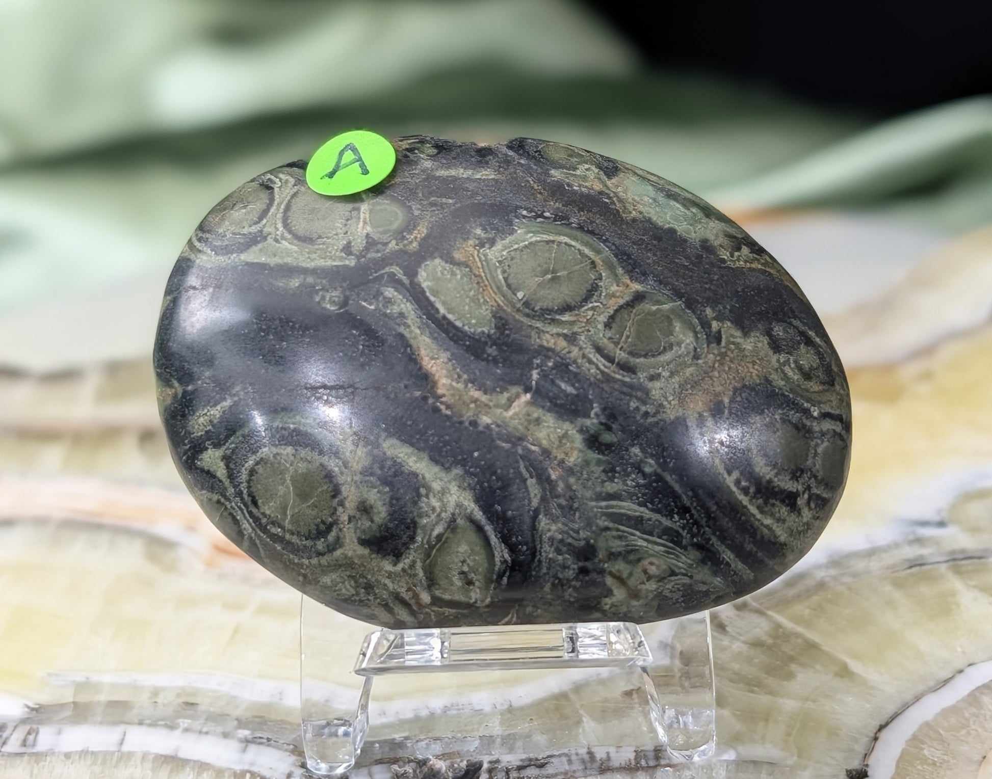 Kambaba Jasper Palm Stone
