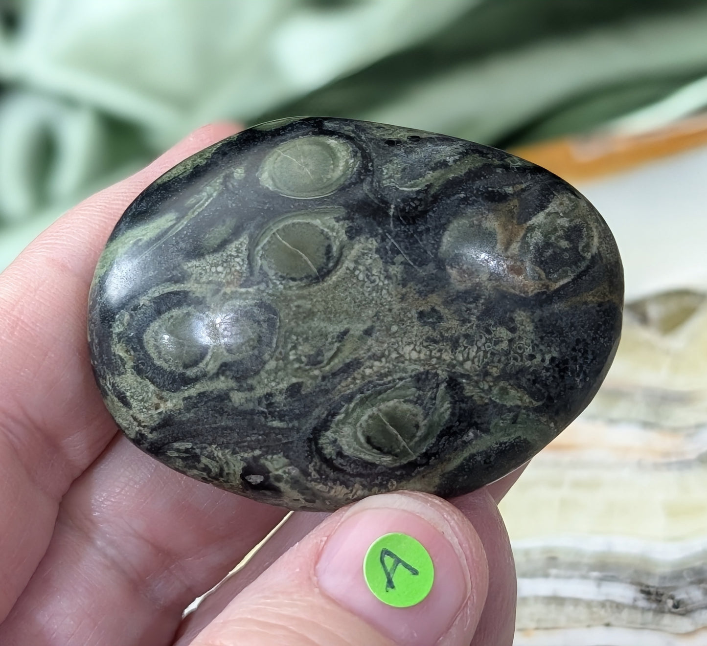 Kambaba Jasper Palm Stone