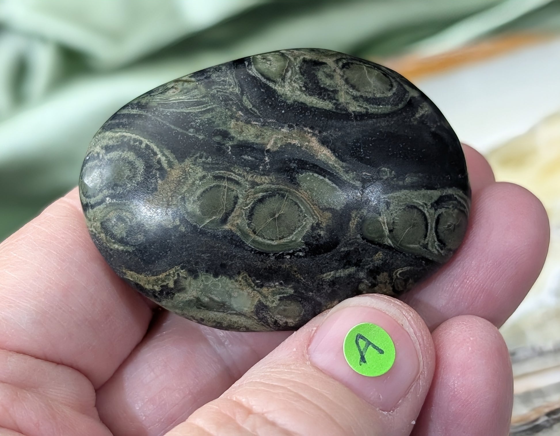 Kambaba Jasper Palm Stone
