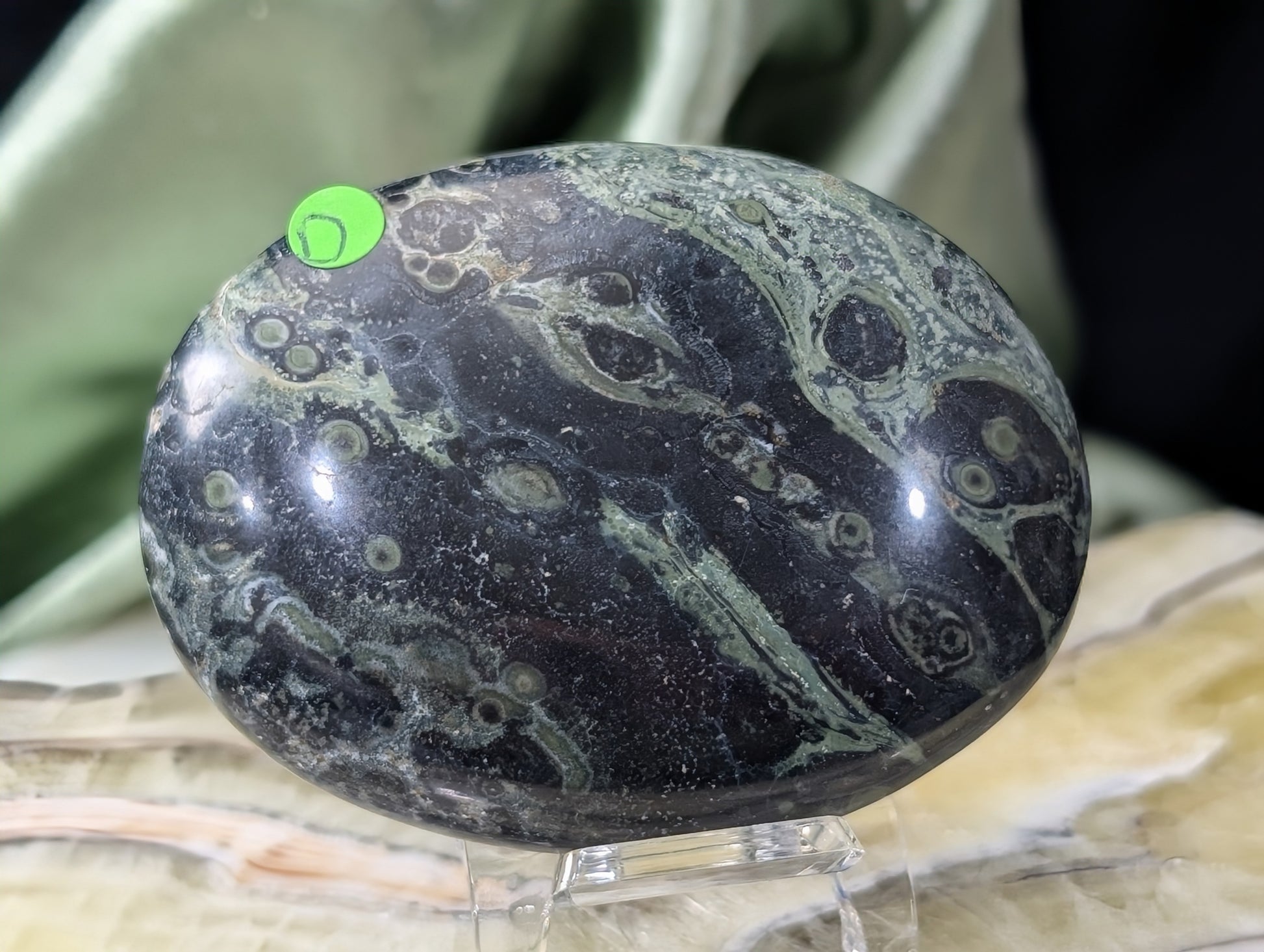 Kambaba Jasper Palm Stone