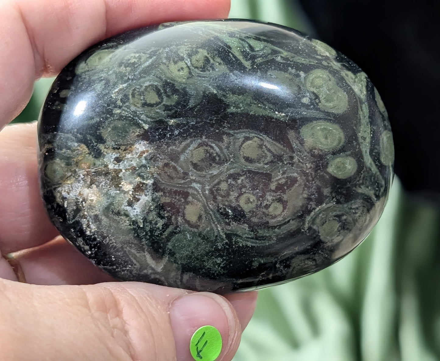 Kambaba Jasper Palm Stone