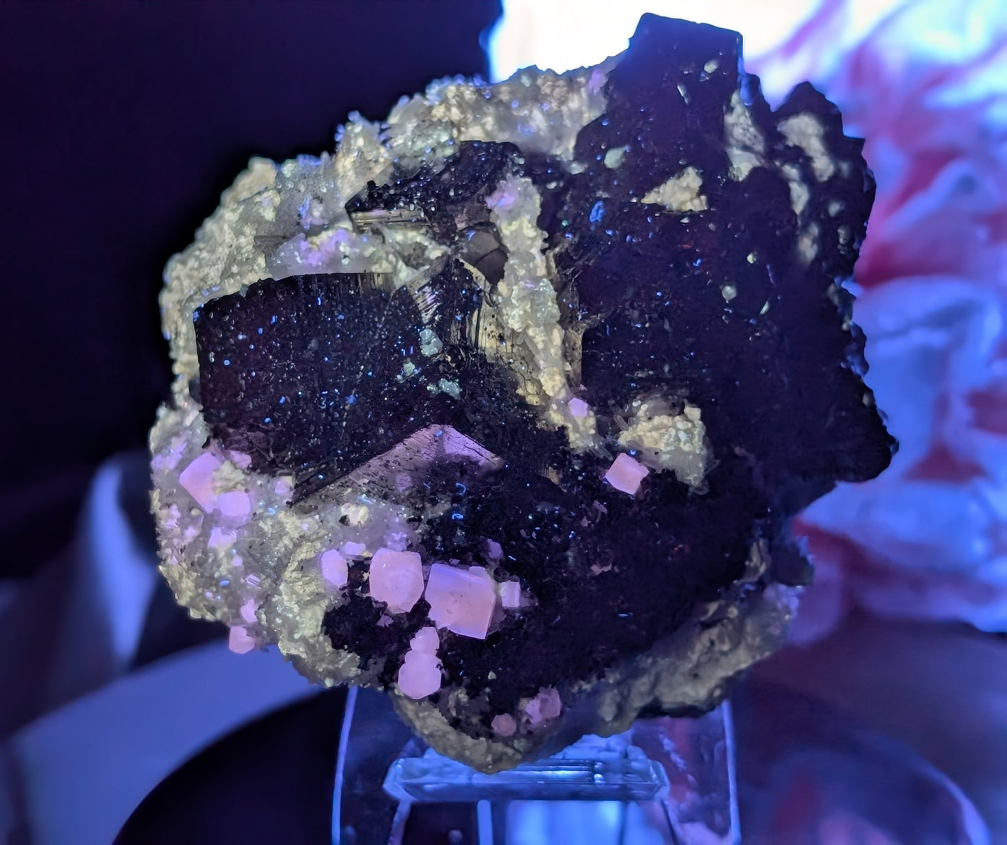 Large Cubical Pyrite in Matrix Specimen