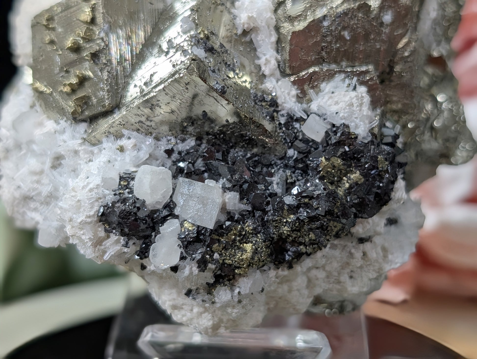Large Cubical Pyrite in Matrix Specimen