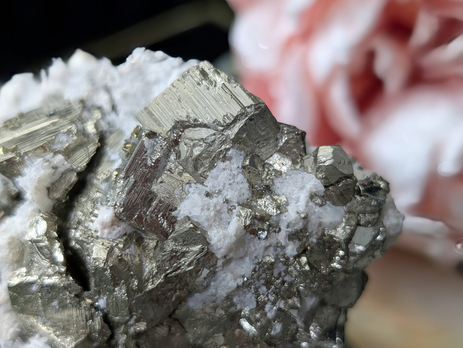 Large Cubical Pyrite in Matrix Specimen