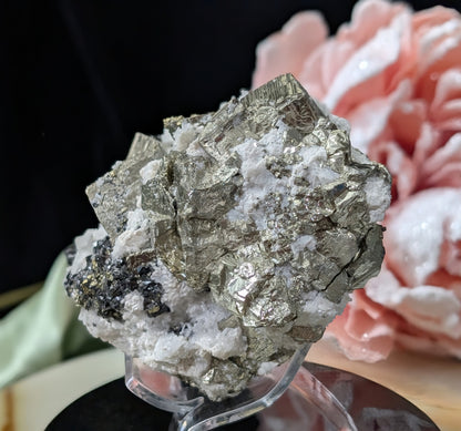 Large Cubical Pyrite in Matrix Specimen