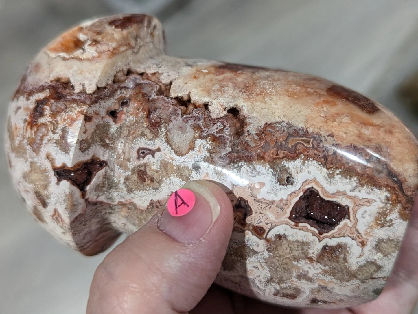 Large Druzy Pink Crazy Lace Agate Mushroom 1A3