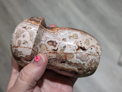 Large Druzy Pink Crazy Lace Agate Mushroom 1A4