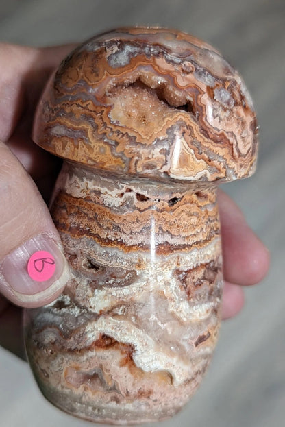Large Druzy Pink Crazy Lace Agate Mushroom 1B3