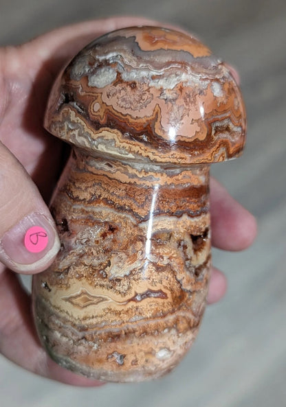 Large Druzy Pink Crazy Lace Agate Mushroom 1B4