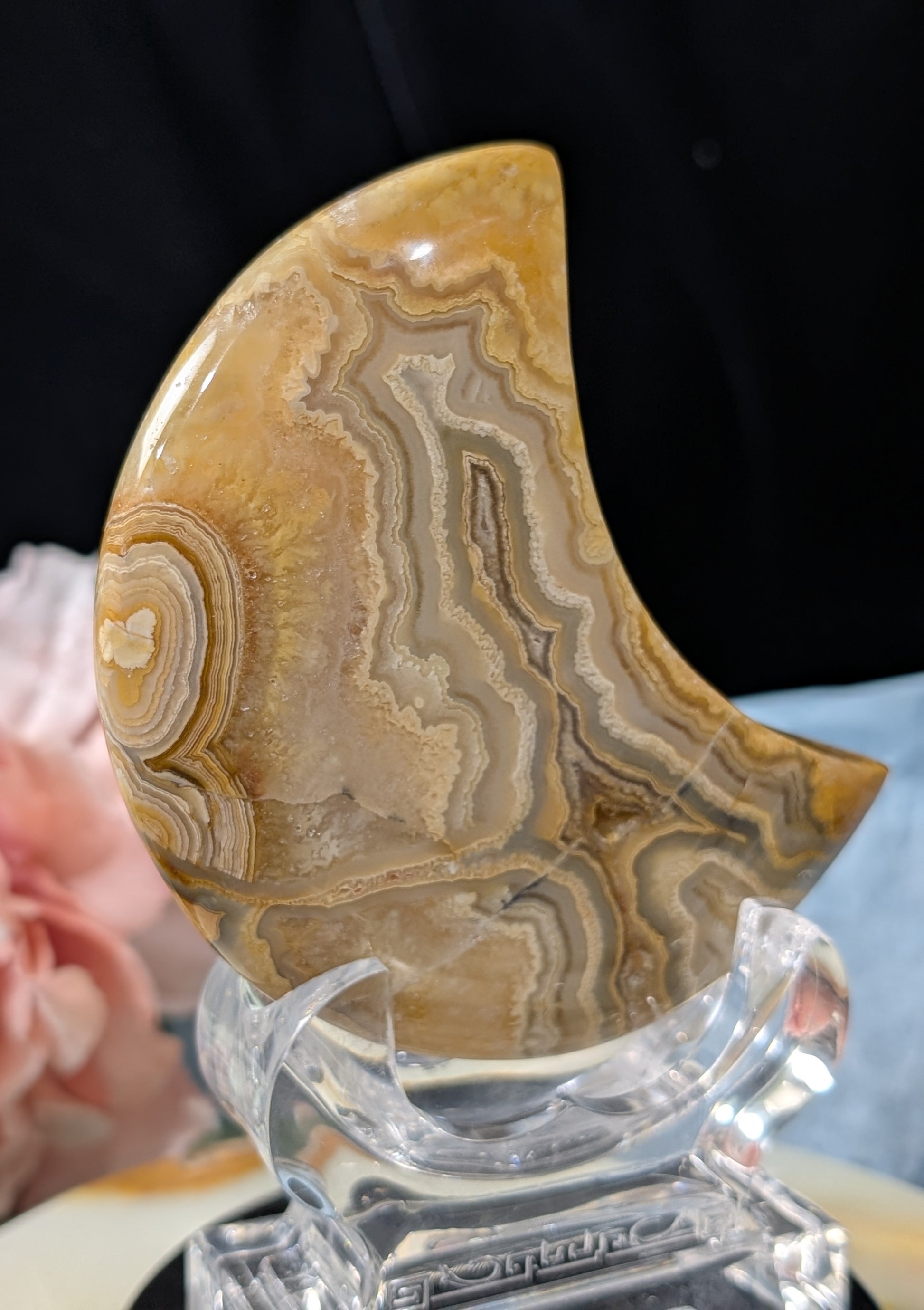 Large Druzy Yellow Crazy Lace Agate Moon