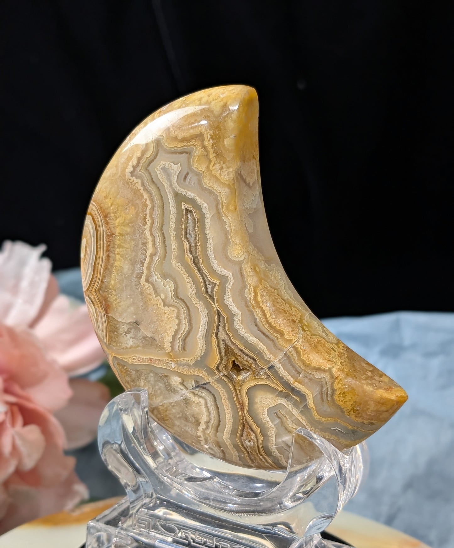 Large Druzy Yellow Crazy Lace Agate Moon