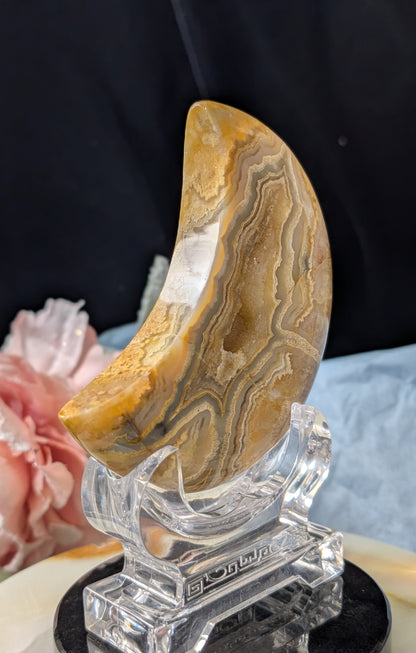 Large Druzy Yellow Crazy Lace Agate Moon
