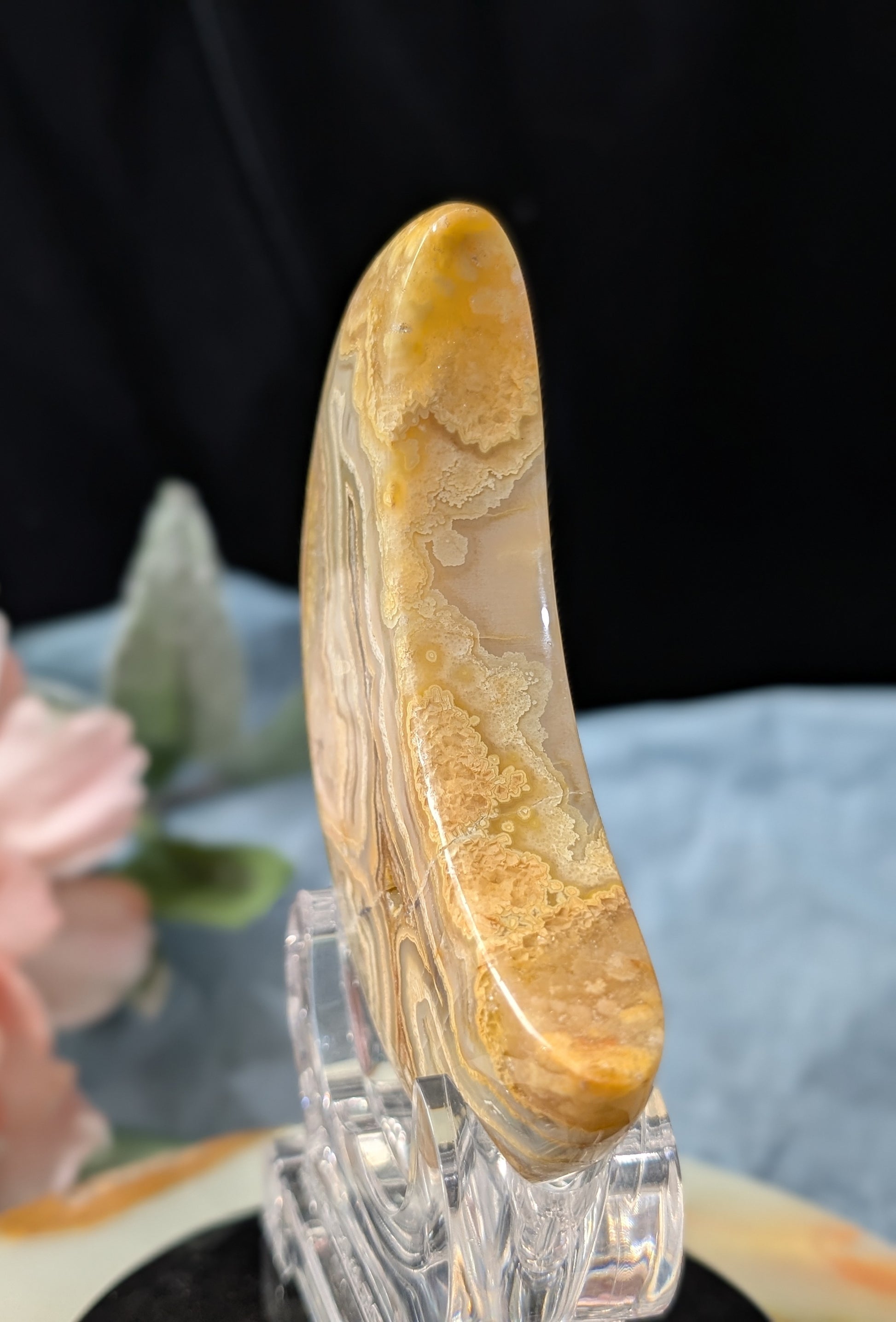 Large Druzy Yellow Crazy Lace Agate Moon
