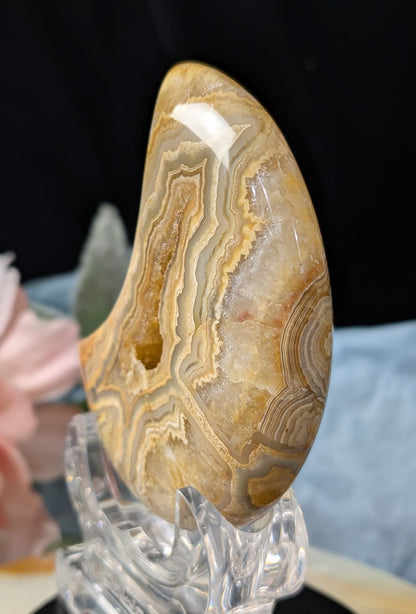 Large Druzy Yellow Crazy Lace Agate Moon